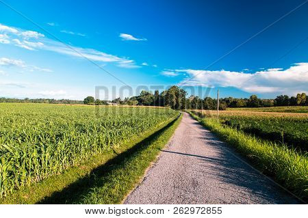Summer Day In The Italian Countryside