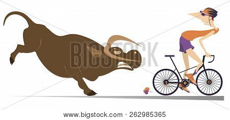 Angry Bull And Cyclist Cartoon Illustration. Frightened Cyclist Escapes From The Angry Bull Isolated
