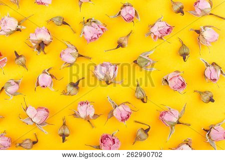 Background Made From Different Rose Blossoms On The Orange Base