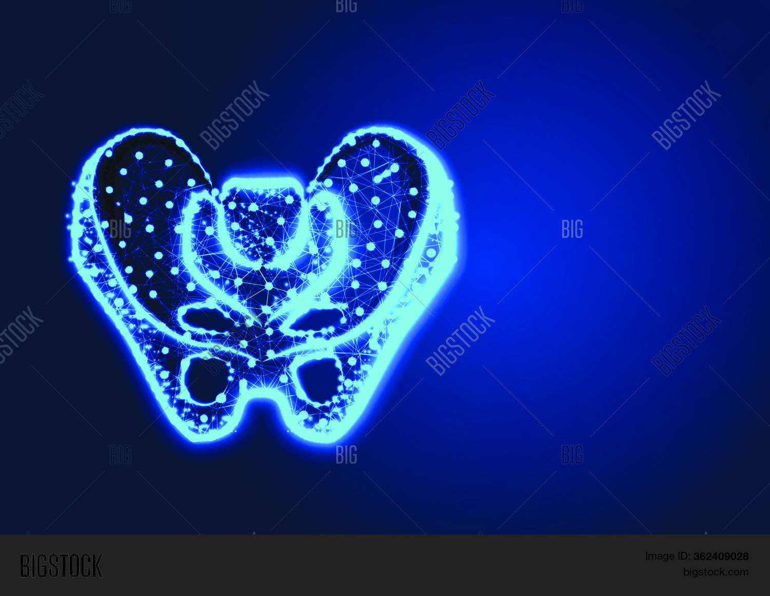Human Hip Pelvis Vector Photo Free Trial Bigstock