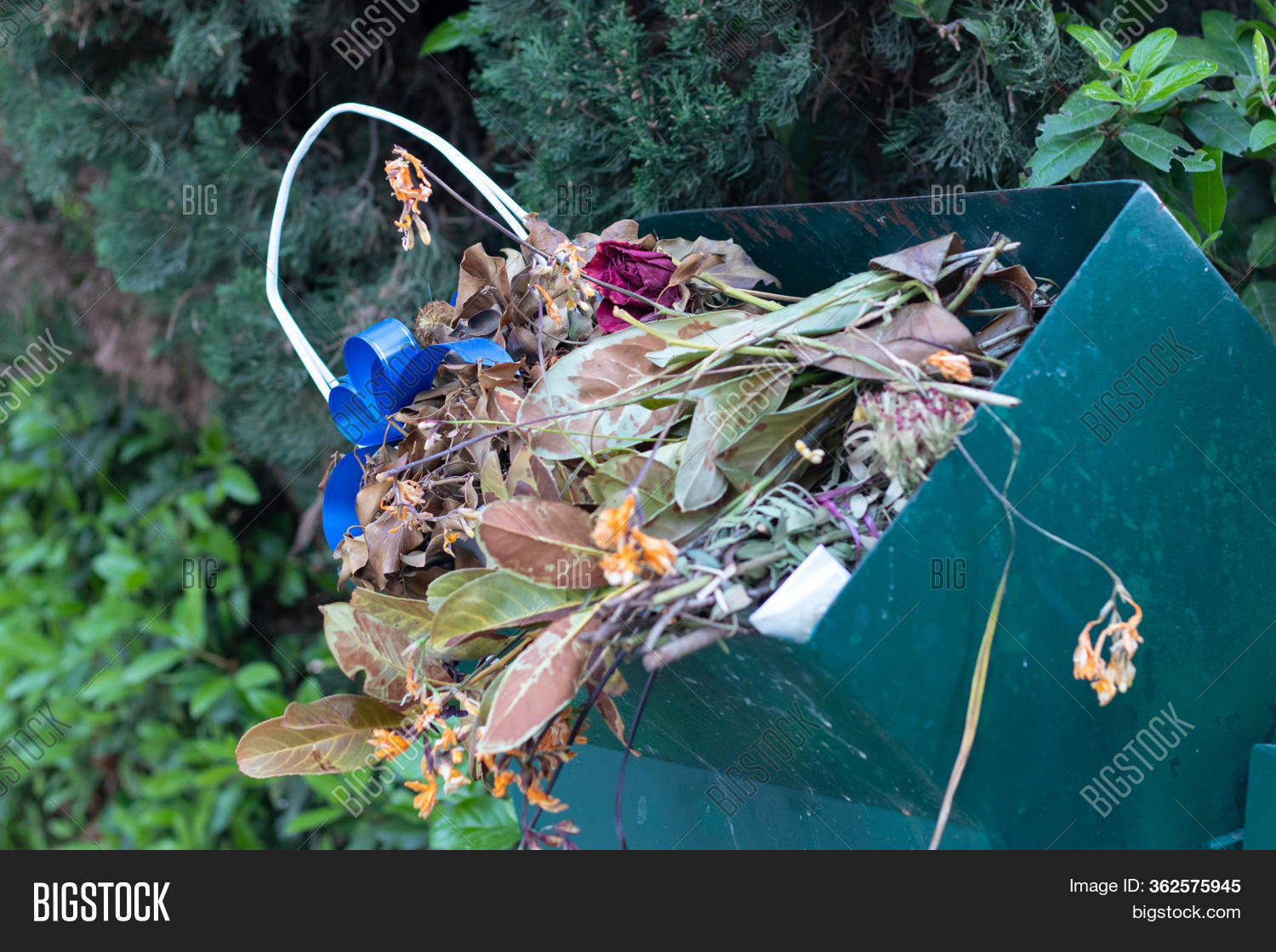 Green Trash Can Filled Image & Photo (Free Trial) Bigstock