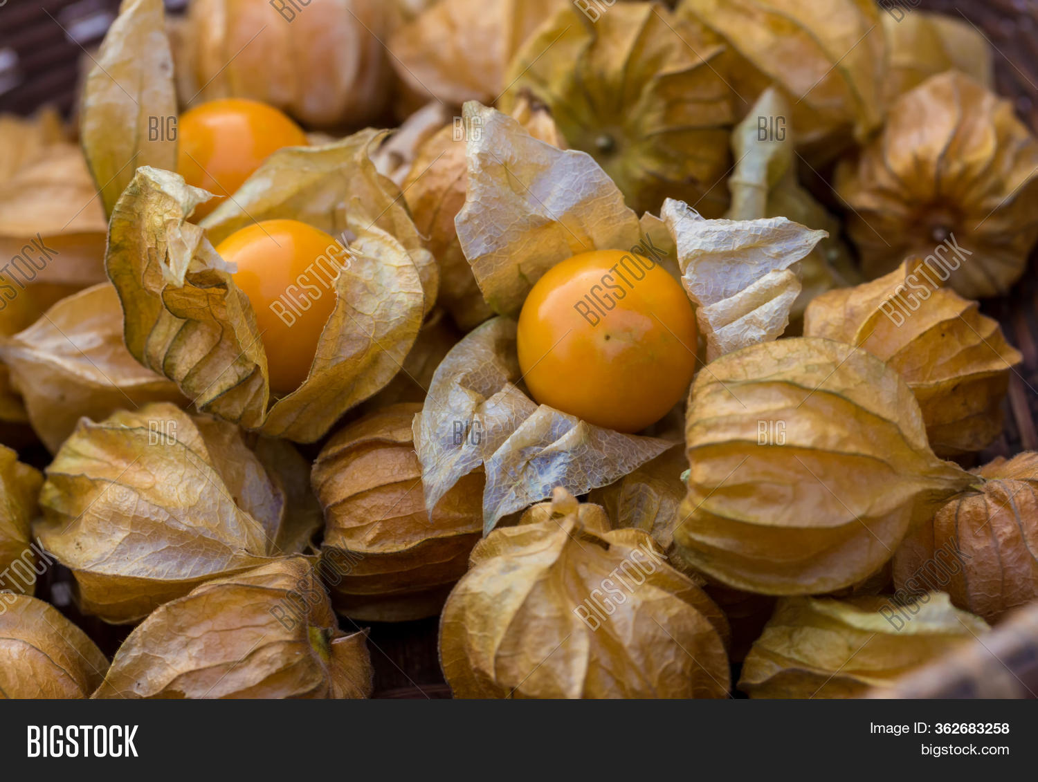 Pile Cape Gooseberry Image & Photo (Free Trial) Bigstock