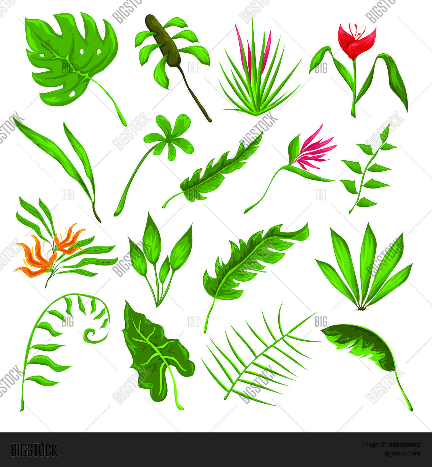 Jungle Leaves Flowers Vector & Photo (Free Trial) Bigstock