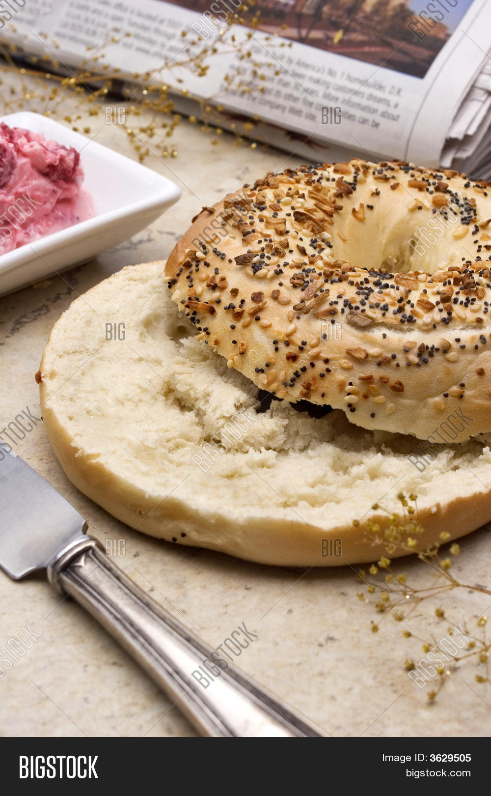 Beagle Breakfast Image & Photo Bigstock