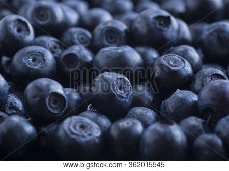 Macro Photo. Fresh Blueberry Background. Ripe Bilberry Background. Texture Bilberry Berries Close Up