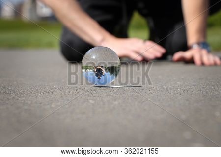 Frolicsome With Brother And Lens Ball On The Path In Greenwich Park, London, United Kingdom. Glass B