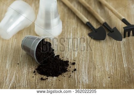 Stack Empty Plastic Glasses Of One Hundred Milliliters For Seedlings And Rooting Cuttings On Wooden 