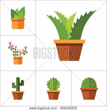 Flowers Flat Icons Set With Aloe In Pot, Tulip And Cactus In Pot. Set Of Six Icons