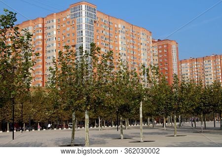 Krasnodar, Russia -  October  28.2019, Smooth Rows Of Trees And Tall Houses In The Area Of Galitsky 