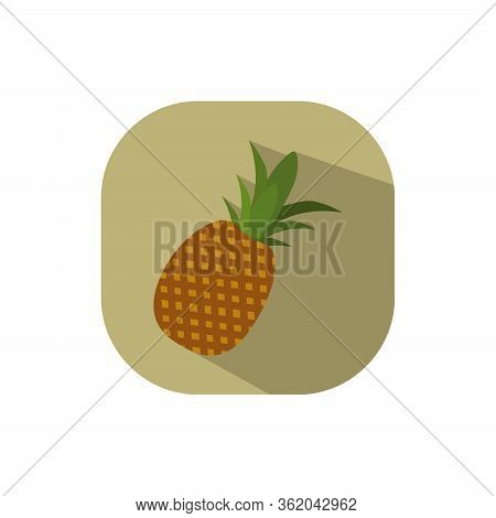 Ananas Pineapple Vector Flat Design Brown Background Fruit
