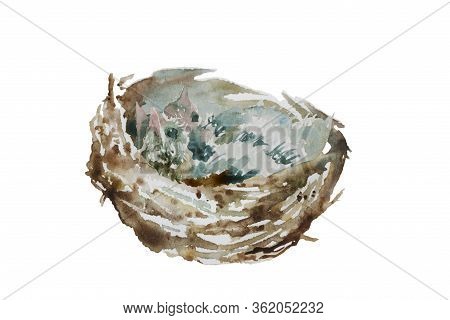 Three Hungry Small Baby Birds In The Nest Waited Their Parents With Food, Isolated On White Backgrou