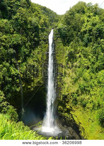 Akaki Falls Hawaii vandfald