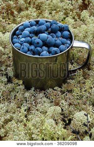 Taza con bayas
