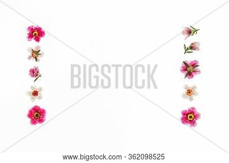 Pink And White New Zealand Teatree Flowers Arranged As Picture Frame