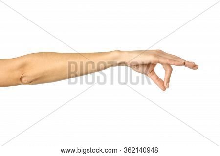 Hand Picking, Holding, Grabbing Or Reaching. Woman Hand With French Manicure Gesturing Isolated On W