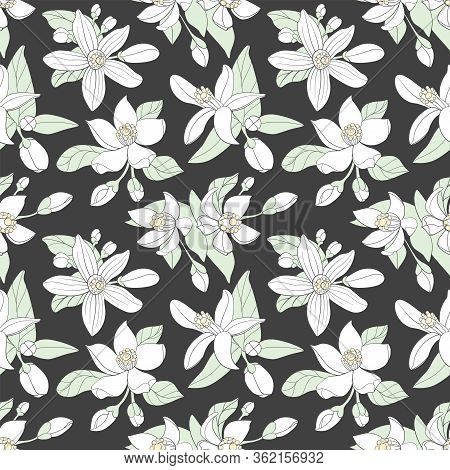 Orange Flowers On Dark Background