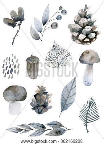 Handsketched Elements Of Northern Forest. Hand Drawn Nordic Set. Collection Of Animals, Florals, Flo