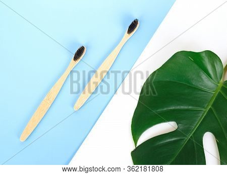 The Concept Of Zero Waste. Bamboo Toothbrush And Manstera Leaf