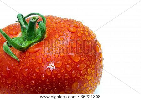 Tomate