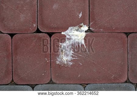 Red Paving Tiles Top View. White Bird Droppings On Paving Slabs Close Up. There Are Many Birds Shit 