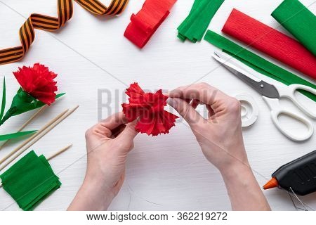 How To Make Carnation Flower At Home. Hands Making Red Carnation To Victory Day 9 May. Step By Step 