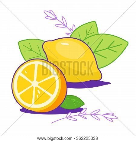 Group Of Bright Fresh Lemons With Leaves. Citrus, Half Of Lemon, Chopped Lemon. Lemon Slice. Print, 