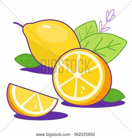 Group Of Bright Fresh Lemons With Leaves. Citrus, Half Of Lemon, Chopped Lemon. Lemon Slice. Print, 