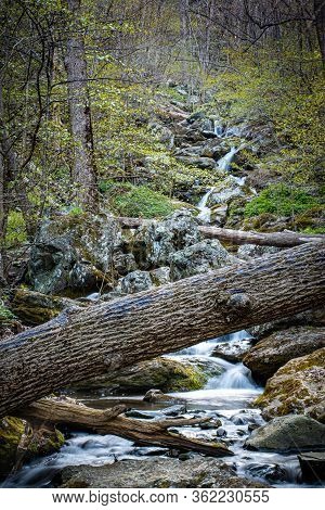 Waterfall And River During Spring In Virginia, United States