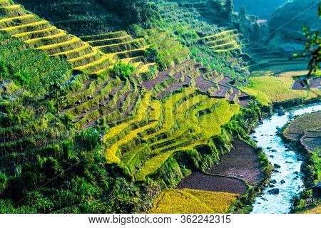 Landscape View Of Rice Fields In Mu Cang Chai District, Vietnam
