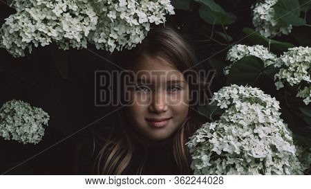 Cute Little Girl In Blooming Hydrangeas. Person And Flowers On Natural Background With Sushine. Chil
