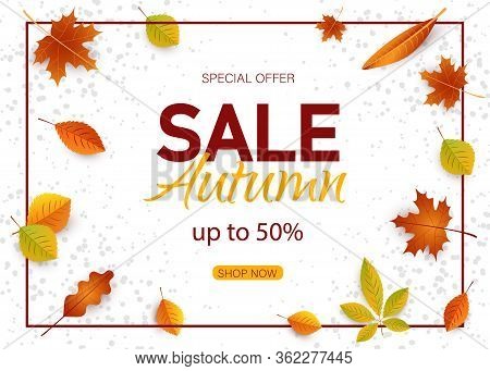 Autumn background. Sales autumn banner with autumn leaves vector autumn banner. Banners with fall leaves. Autumn season discount offers with red and orange realistic foliage. Colorful leaf design vector seasonal autumnal sale abstract tag templates