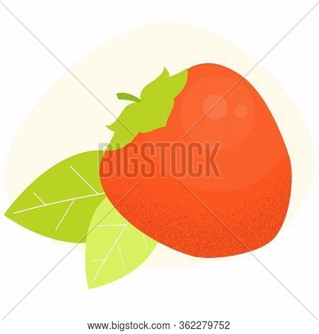 Persimmon Vector Icon. Kaki With Leafs Concept