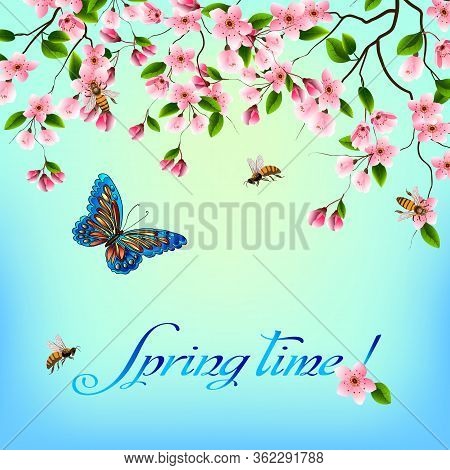 Bees And Cherry Blossoms In A Postcard.spring Card With Blooming Cherry And Text.
