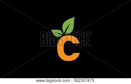 Initial C Letters Logo Modern Trendy With A Leaf