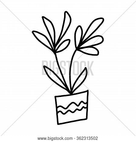 Cute Hand Drawn Flower In Pot. Single Doodle Icon Element. Isolated On White Background. Vector Stoc