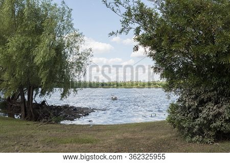 Mercedes, Soriano / Uruguay; Dec 26, 2018: Summer Landscape On The Bank Of The Rio Negro: Grass With