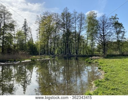 A Spring Landscape With Trees Along Small Lakes Or Ponds And The Glatt River - Zürich (zuerich Or Zu