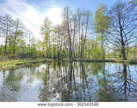 A Spring Landscape With Trees Along Small Lakes Or Ponds And The Glatt River - Zürich (zuerich Or Zu