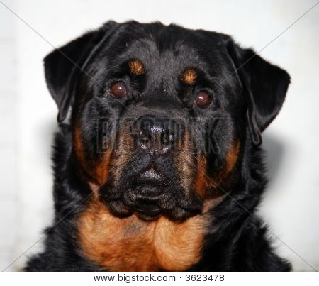 George