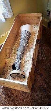 Christmas Story Leg Lamp In Large Fragile Wooden Box.