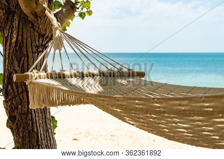 Hammock on the tropical beach