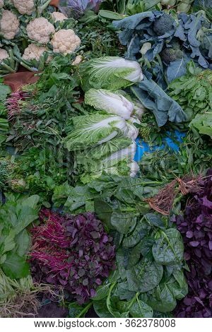 Leaf Vegetables, Also Called Leafy Greens, Salad Greens,vegetable Greens, Or Simply Greens, Are Plan