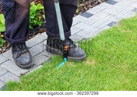 Gardening - edging lawn along the foothpath using garden tool