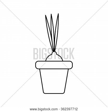 Vector illustration of a bulb in a flower pot on a white isolated background. Vegetable culture in the garden. Flat design of the item without filling. Vector and stock illustration.