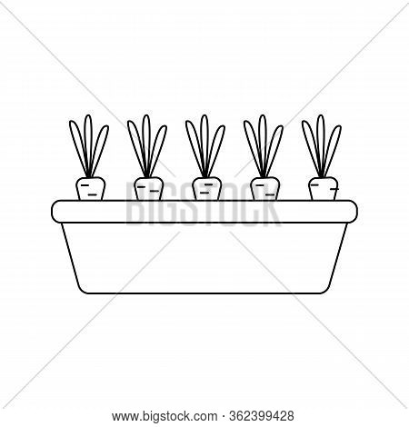 Vector silhouette of carrots in a pot on a white background, healthy and balanced diet. Vegetable growing in the garden. Flat design of the product without filling. Vector and stock illustration.