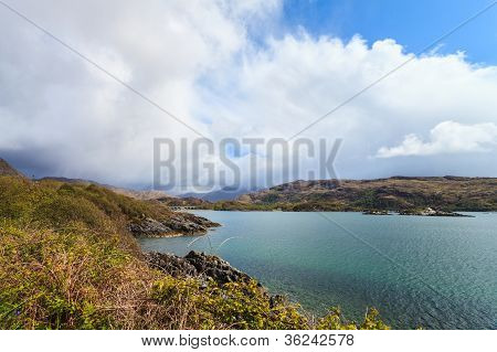 Paisagem de lago com arbustos na frente em bruto