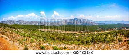 Aleppo Pine Tree (pinus Halepensis) Forest And Mountain Range Landscape  Taken From Mount Srd On A S