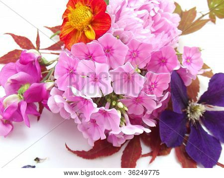 Floral sammensætning