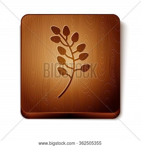 Brown Willow Leaf Icon Isolated On White Background. Wooden Square Button. Vector Illustration