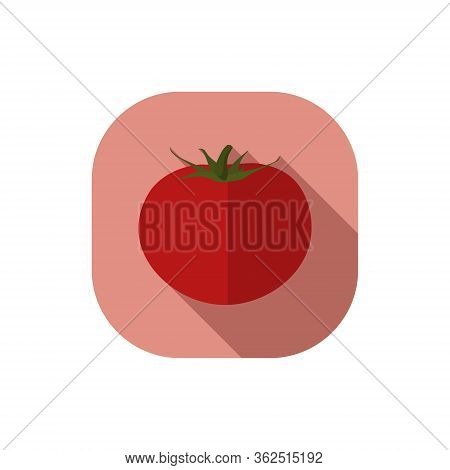Tomato Vector Flat Design Red Background Vegetable